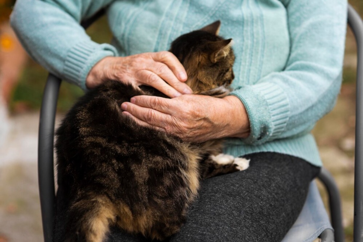 Vrouw laat miljoenen na aan haar geliefde huisdieren: ‘Mijn kinderen verwaarlozen mij’